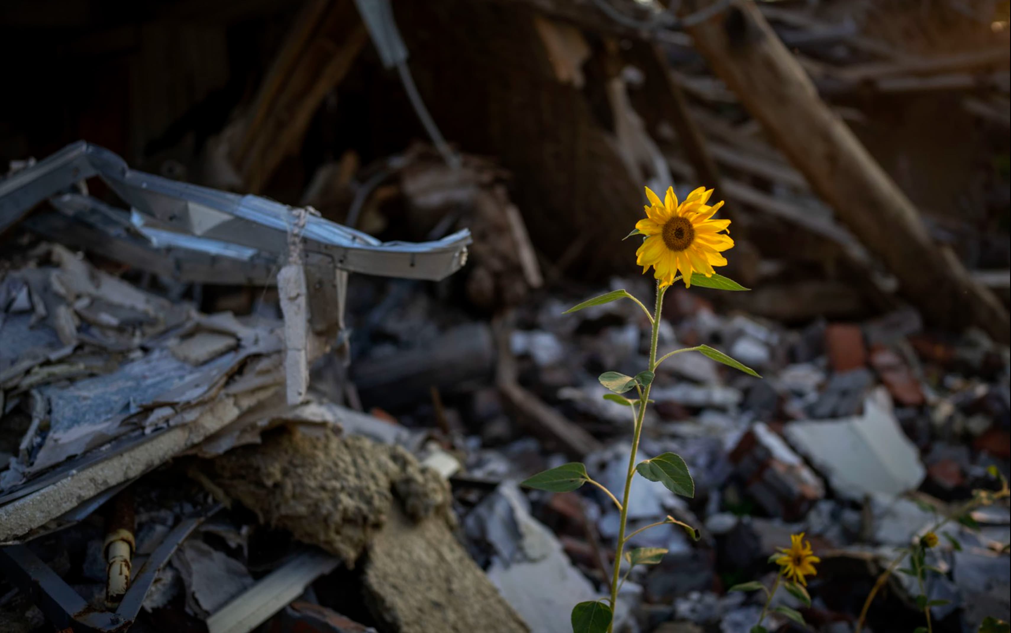 Our vision for Ukraine's healthcare